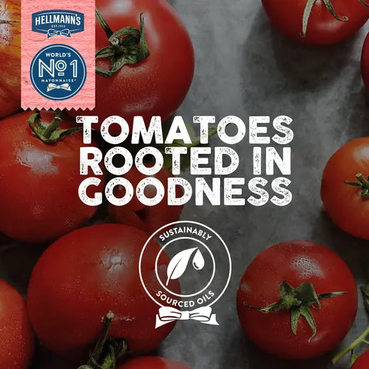 Hellmann's Tomato Ketchup (500g)