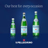 S.Pellegrino Sparkling Natural Mineral Water (1L)
