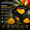 Ponthier Frozen Mango Puree (1kg)