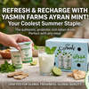 Yasmin Farms Ayran with Mint (24 x 200ml)