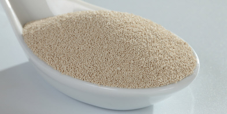 Anchor Instant Yeast (500g)