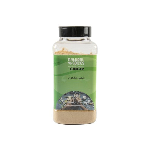 Ginger Powder 400gm