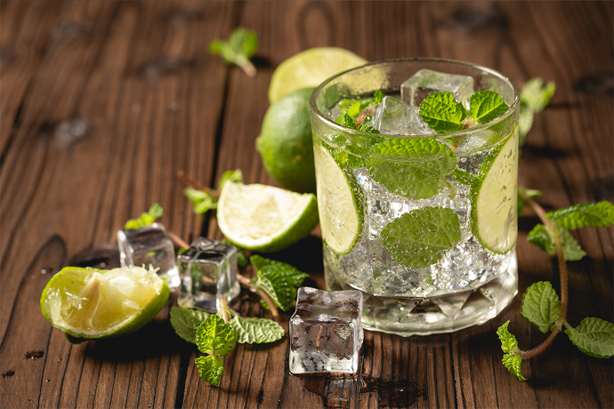 Osterberg Wild Mint Syrup (1L)