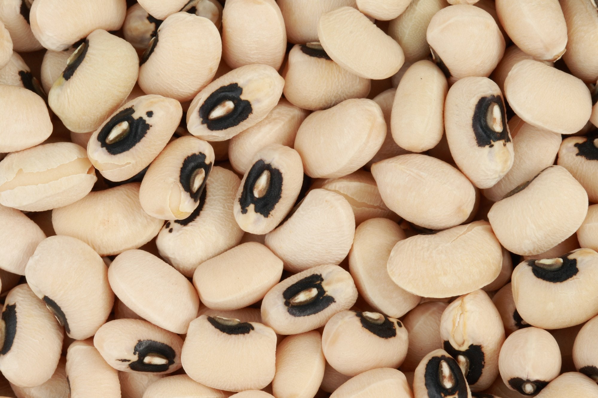 777 Premium Black Eyed Beans (15kg)
