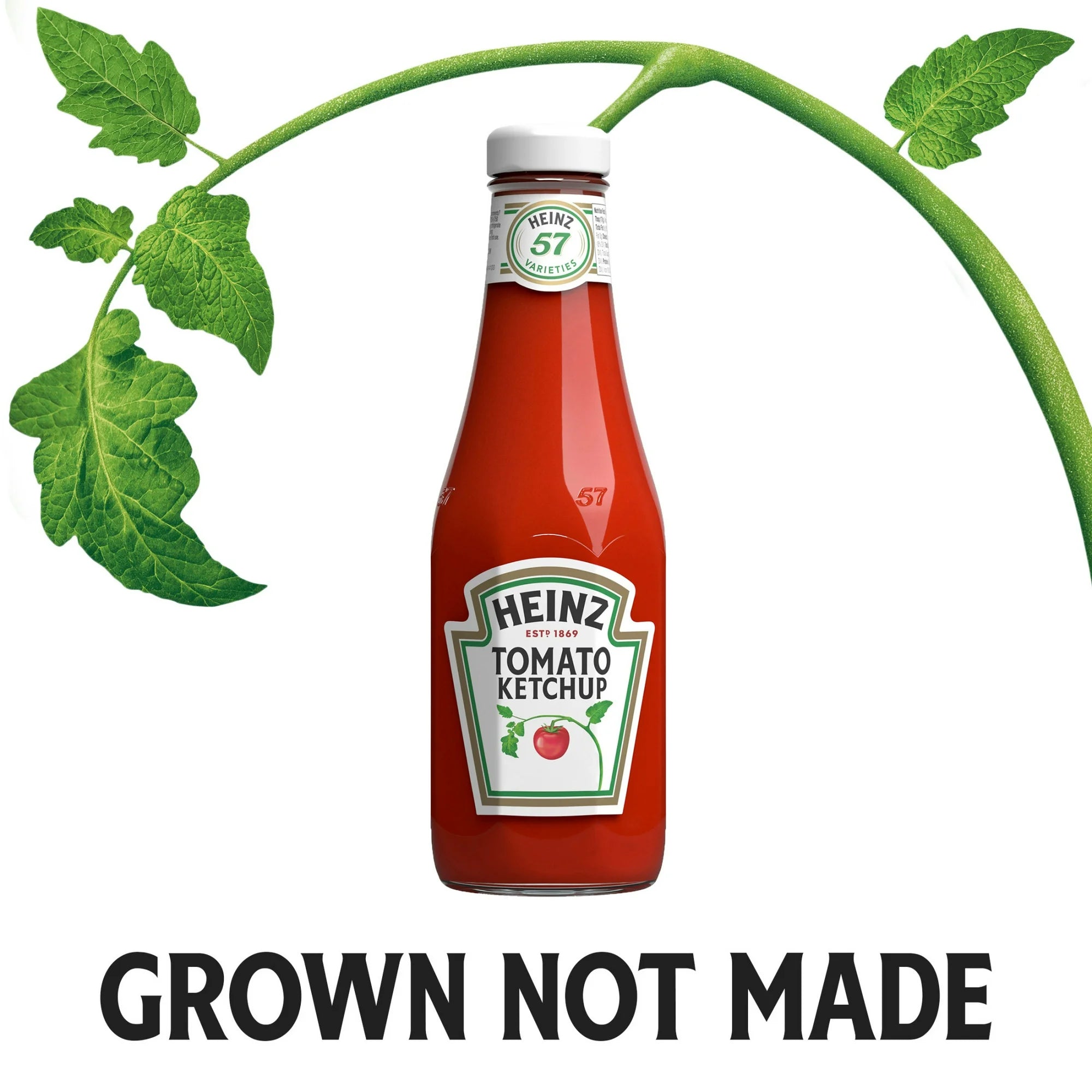 Heinz Tomato Ketchup (14 oz Bottle)