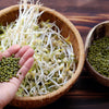 Clearspring Organic Bio Kitchen Bean Sprouts (330g)