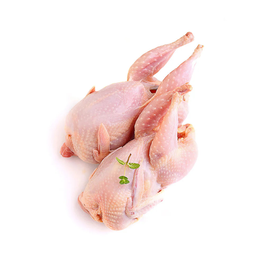 Abu Ghaly Pigeon ( 500g )