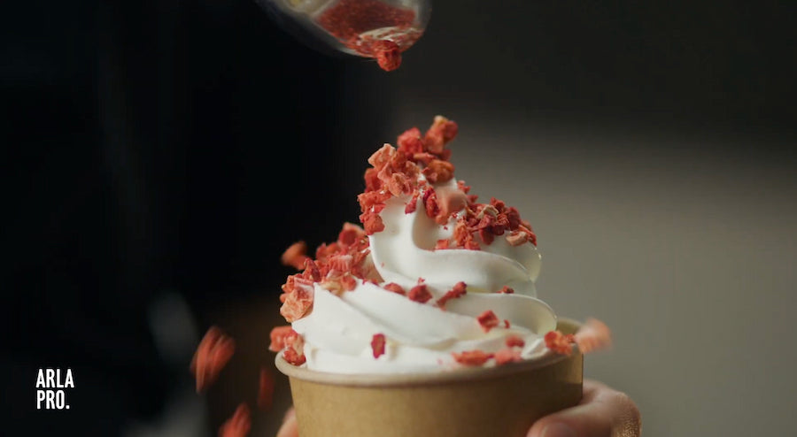 Arla Pro Soft Ice Mix Vanilla Flavor (2L)